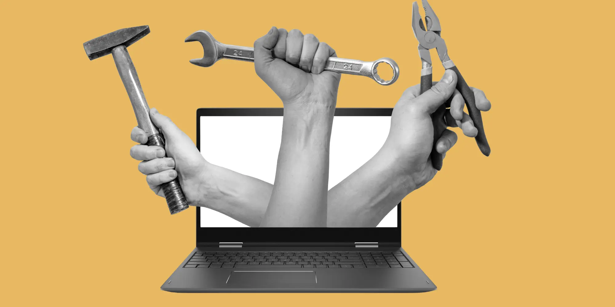 תחזוקת אתר אינטרנט